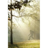 Finding Bigfoot and Other Stories