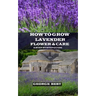 How to Grow Lavender Flower and Care: A Step by Step Guide