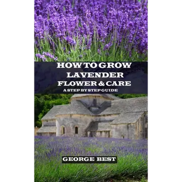 How to Grow Lavender Flower and Care: A Step by Step Guide