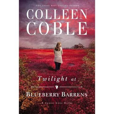 Twilight at Blueberry Barrens