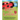 Lucky the Ladybug