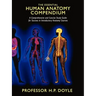 The Essential Human Anatomy Compendium: A Comprehensive and Concise Study Guide for Success in Introductory Anatomy Courses