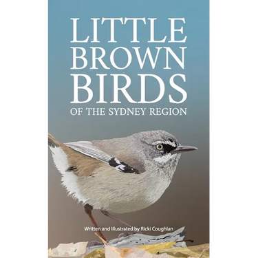 Little Brown Birds