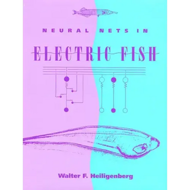 Neural Nets in Electric Fish