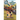 The Curious Clues