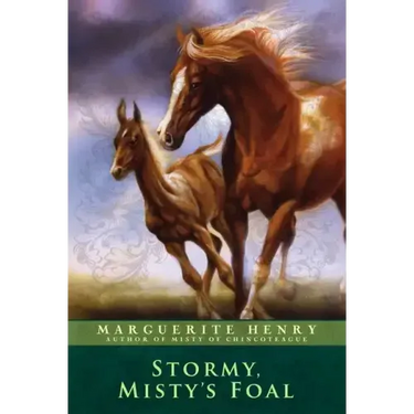 Stormy, Misty's Foal