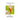 That Dang Dementia!: A Cardinal Tale
