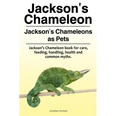 Jackson's Chameleon. Jackson's Chameleons as Pets. Jackson's Chameleon book for care, feeding, handling, health and common myths.