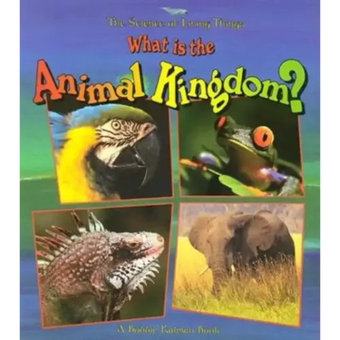 What Is the Animal Kingdom?
