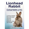 Lionhead Rabbit. Lionhead rabbits as pets. Lionhead rabbit book for pros and cons, housing, keeping, breeding, diet and health.