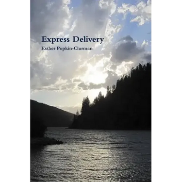Express Delivery