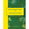 Journey Beyond Abuse: A Step-By-Step Guide to Facilitating Women's Domestic Abuse Groups