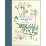 Vintage Botany Prints: Vol. 12