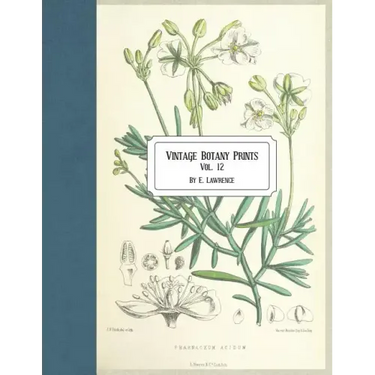 Vintage Botany Prints: Vol. 12