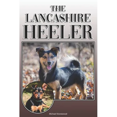 The Lancashire Heeler: A Complete and Comprehensive Owners Guide to: Buying, Owning, Health, Grooming, Training, Obedience, Understanding and