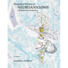 Illustrated Review of Neuroanatomy: 3 Dimensional Perspective
