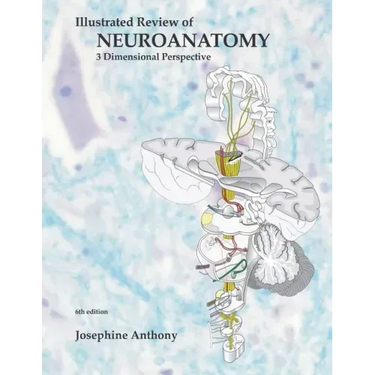 Illustrated Review of Neuroanatomy: 3 Dimensional Perspective