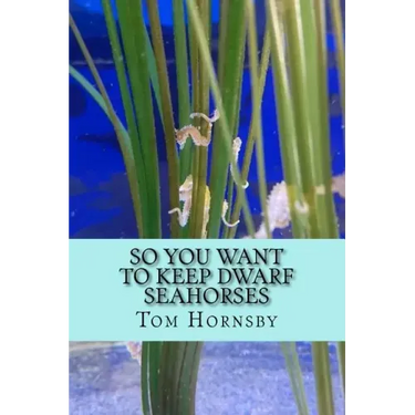 So you want to keep dwarf seahorses