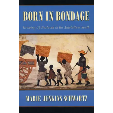 Born in Bondage: Growing Up Enslaved in the Antebellum South