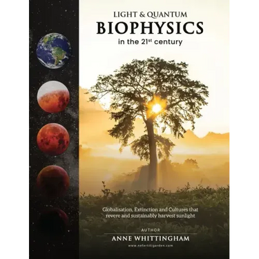 Light and Quantum Biophysics in the 21st Century: Cultures that revere and sustainably harvest Sunlight