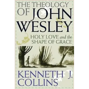 The Theology of John Wesley: Holy Love and the Shape of Grace