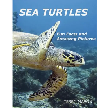 Sea Turtles: : Fun Facts and Amazing Pictures