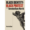 Black Identity and Black Protest in the Antebellum North
