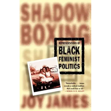 Shadowboxing: Representations of Black Feminist Politics