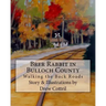 Brer Rabbit in Bulloch County: Walking the Back Roads