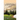 Thoughts on Landscape Painting