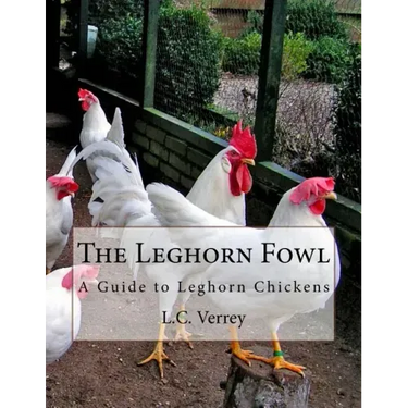The Leghorn Fowl: A Guide to Leghorn Chickens