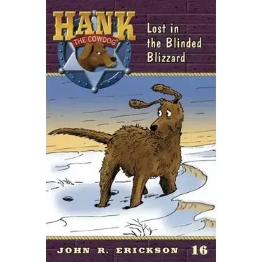 Lost in the Blinded Blizzard