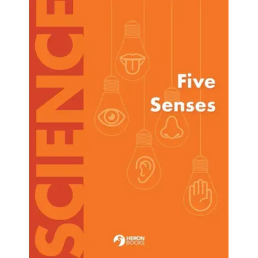 Five Senses