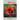Rose Lore
