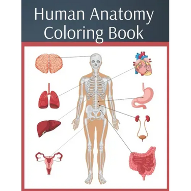 Human Anatomy Coloring Book: colouring workbook medical physiology study guide