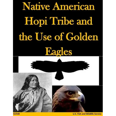 Native American Hopi Tribe and the Use of Golden Eagles