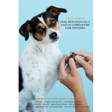 Dog reflexology and acupressure for owners