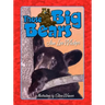 Those Big Bears