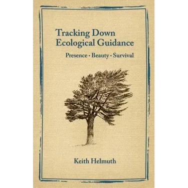 Tracking Down Ecological Guidance: Presence, Beauty, Survival