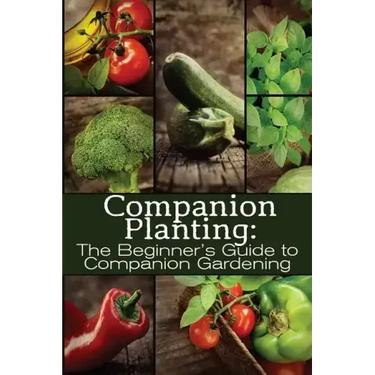 Companion Planting: The Beginner's Guide to Companion Gardening