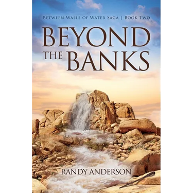 Beyond the Banks