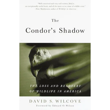 The Condor's Shadow: The Loss and Recovery of Wildlife in America