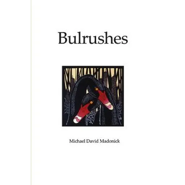 Bulrushes