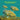 Nebraska Game Fish and Panfish Species Kids Book: Great Book About the Different Types of Fish in Nebraska