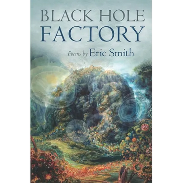 Black Hole Factory
