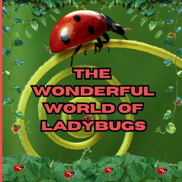 The Wonderful World of Ladybugs: Interesting Facts About Ladybugs