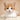 Kitty Cat: Kittens Picture Book for Dementia and Alzheimer's Patients