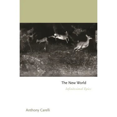 The New World: Infinitesimal Epics