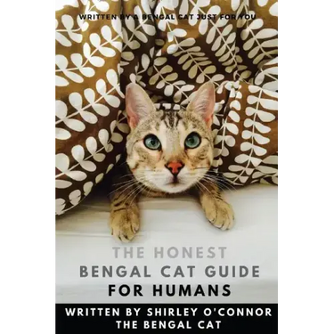 The Honest Bengal Cat Guide for Humans: Bengal Cat and Kitten Care