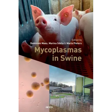 Mycoplasmas in Swine